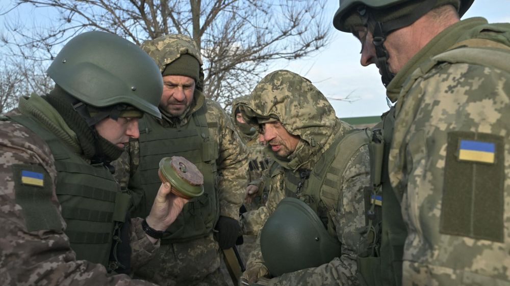 � �������� ����������� ���������. �������� � �������� � ������������ �������