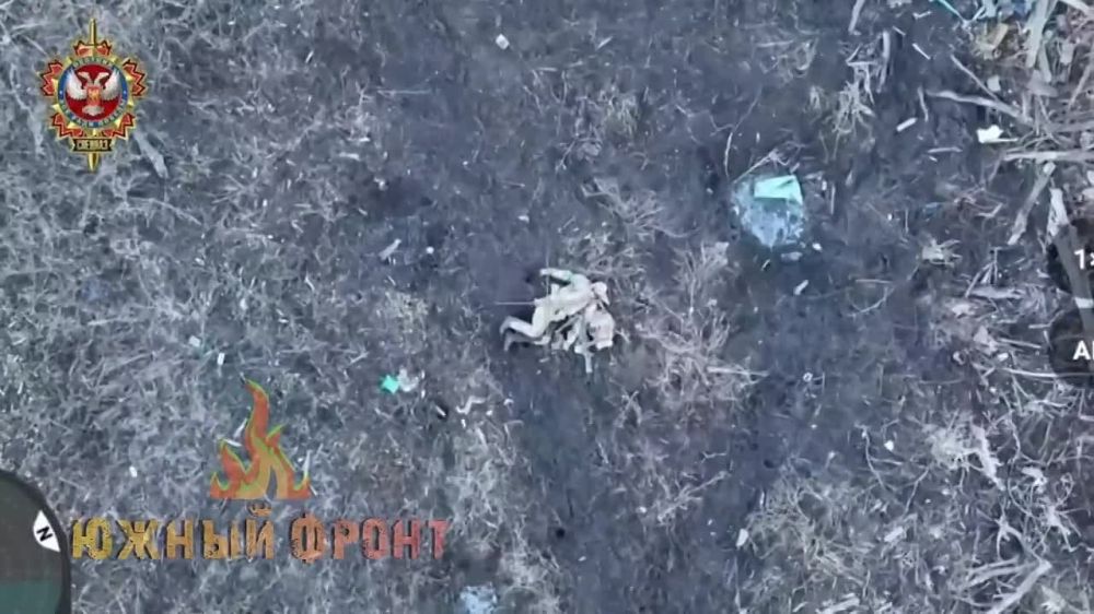 ������� �������: ����� ������� ����� ���������� ������������ � �� ���������