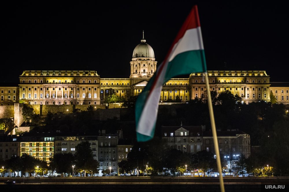 ������� ������� ����� ���������� ����� � ������ ����� �������