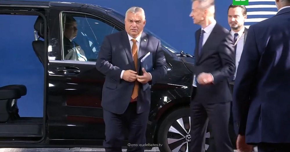 ���������� ������� ������ ������ &laquo;�������&raquo;
