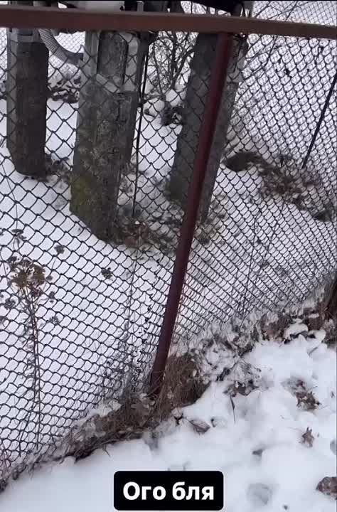 На днях в Киеве мужчина простите, пожалуйста за подробности, отошел в туалет, а тем временем ему под колёса машины кто-то подкинул наркотическую траву