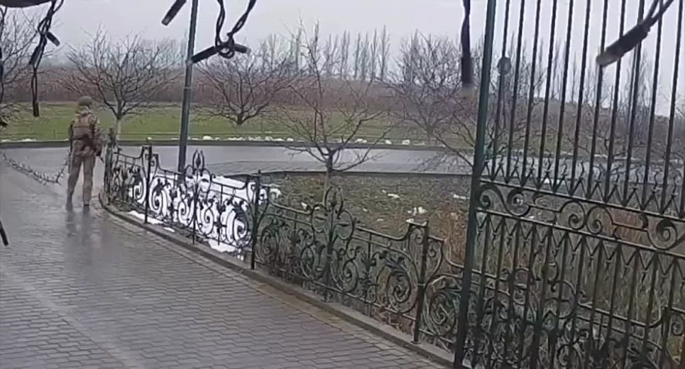 Евгений Поддубный: Киевский режим как он есть