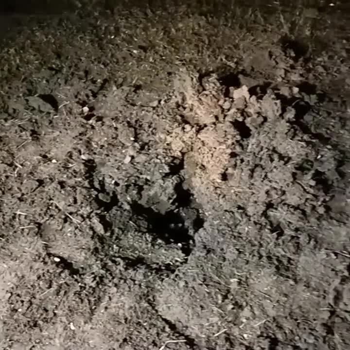 Кадры последствий обстрела ВСУ травматологического центра и троллейбусного депо в Донецке