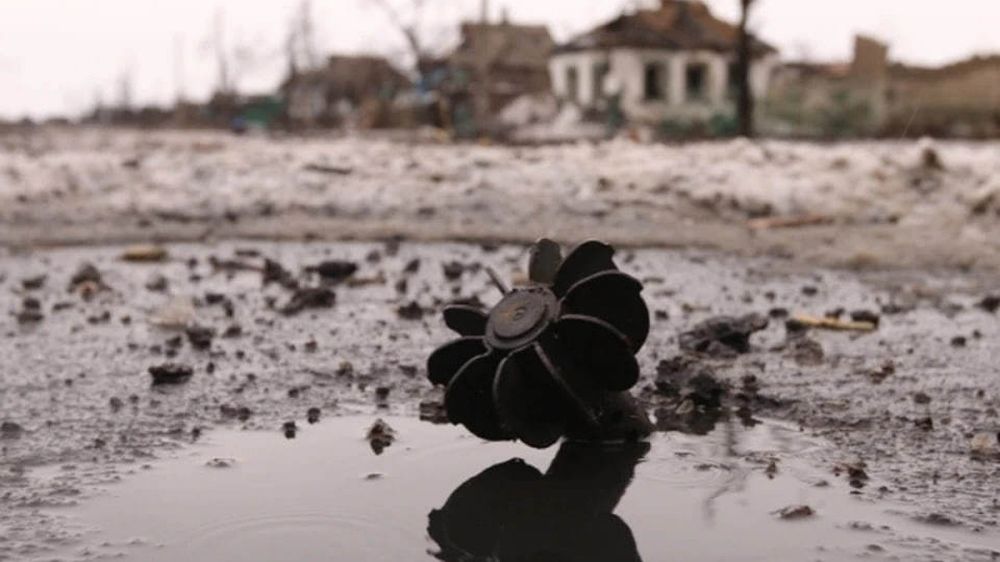 Французские сенаторы выступили за наращивание поставок снарядов Киеву