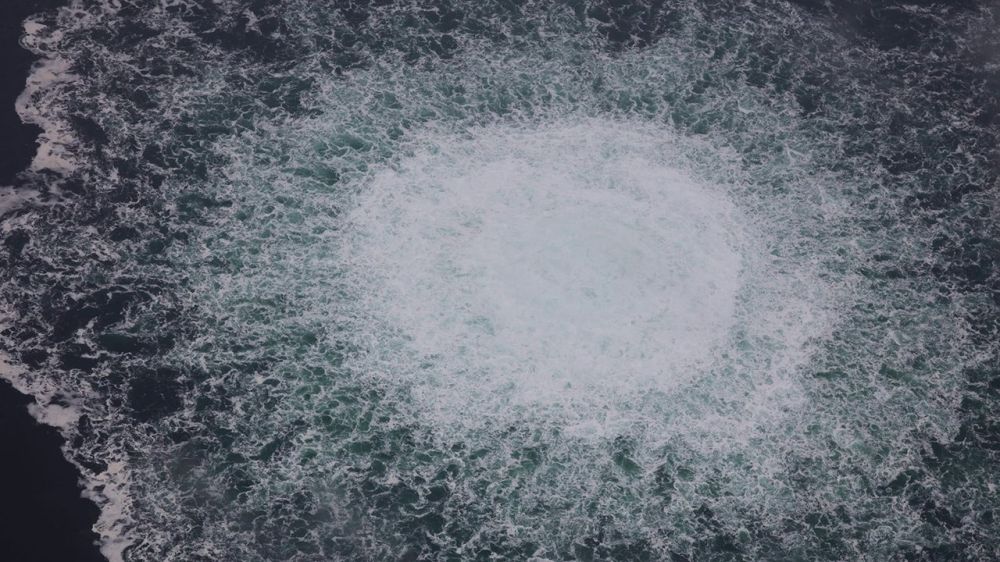 ���� ������� ����� ����������� � ������� "��������� ������"