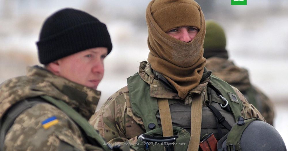 Bild: ���������� ������ ����������� �������� �������� �� ���� ���