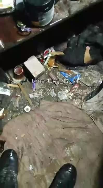 �� �������, �������, ������� ������� �� ���������� ���������� �� ����������� � ���. � ��������� ����� ������ ���� �� �� ������ ���� ����������� ������ ������ �� ��������� ���� �������� � �� �������� ����������� �������� ����� � ������� �����