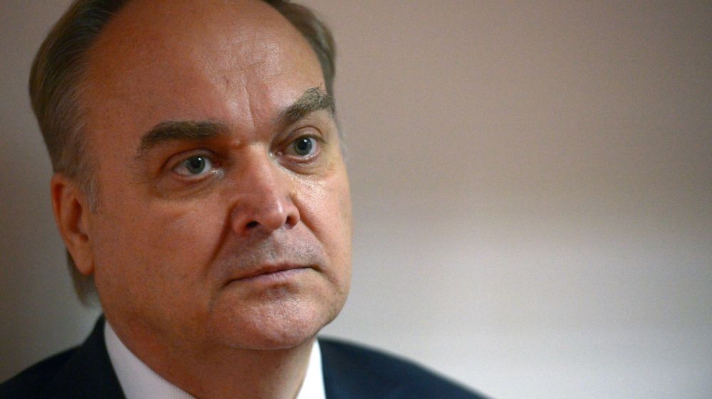 "�������� ���������� �������": ����� ������� ������������� ��� �� ����� ����� ������ �����