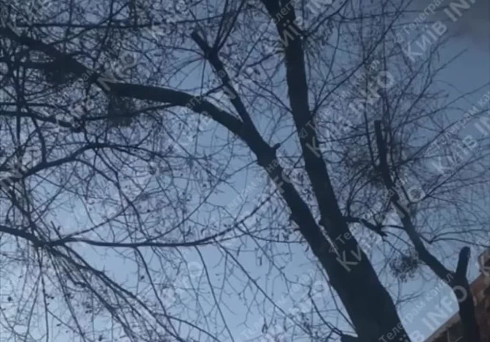������� �������: ����� �� ����� ���� �����