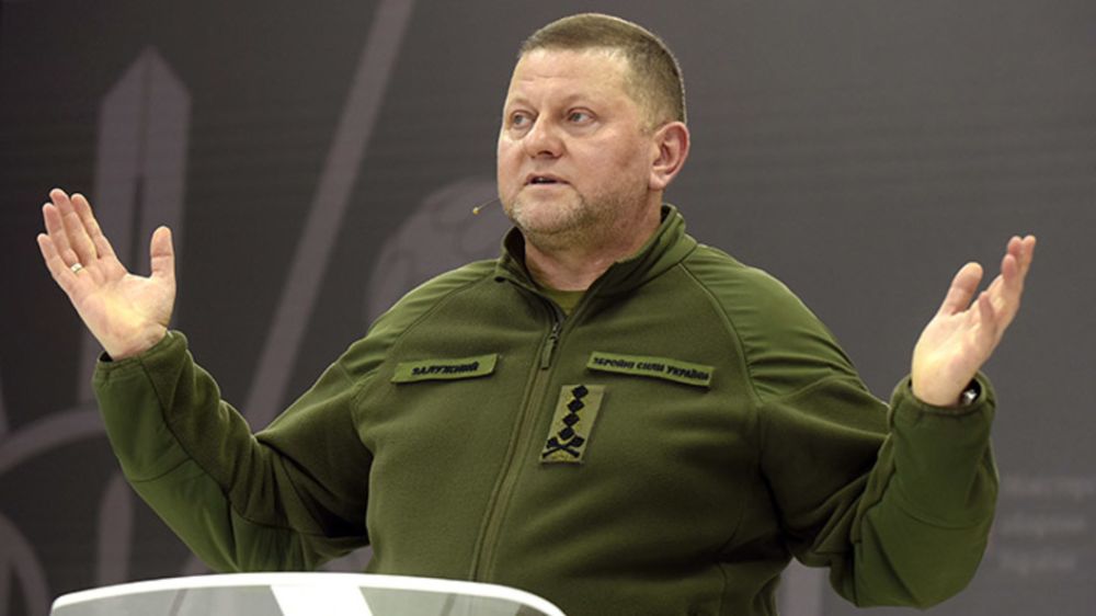 "���� ���������": ������ ���� ��������� ��������� � ������� ����������