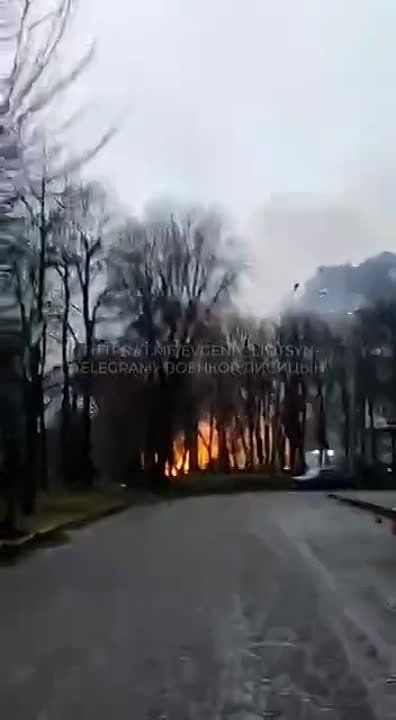 ������� �������: ������ ������ ������� � �����