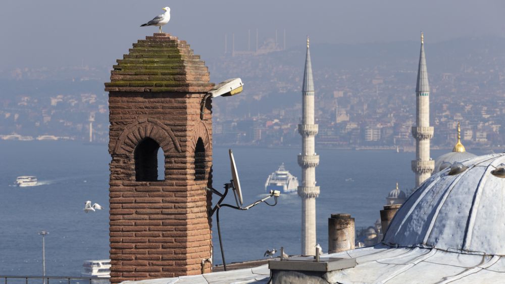 ������ ���� �������� ��������. ���� ������� ��� "�������"