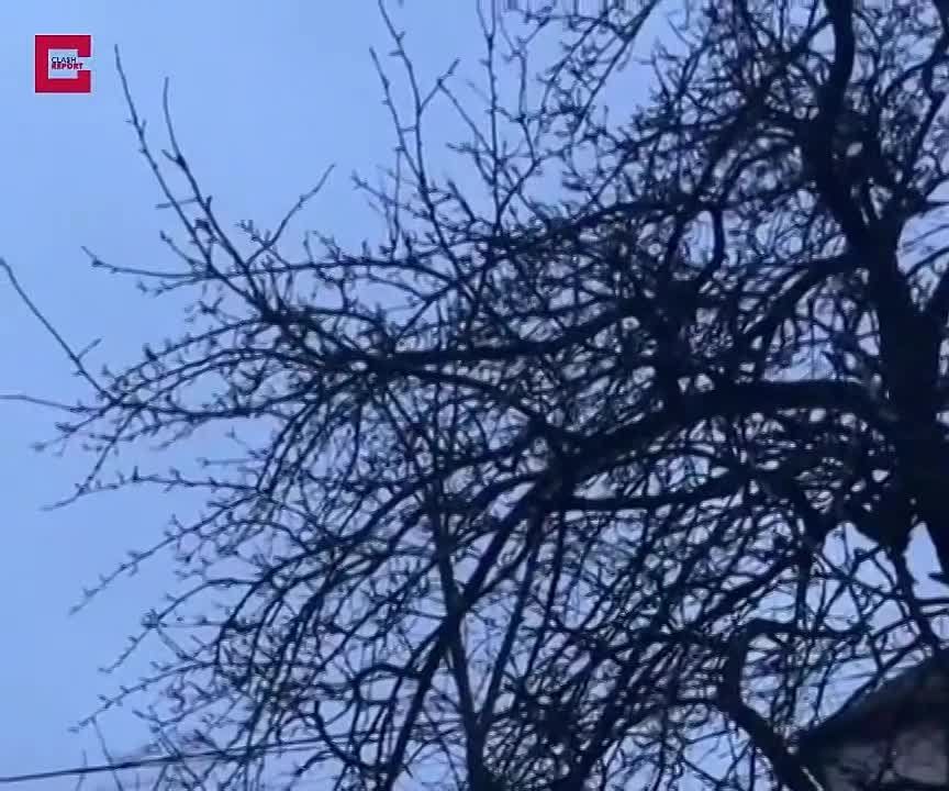 ������ ����������: �� ����� �1 ����� ��� ������ �-101 ��� ������