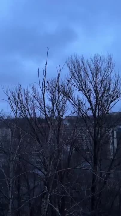 ������ ����������: ������ ������ � �����.