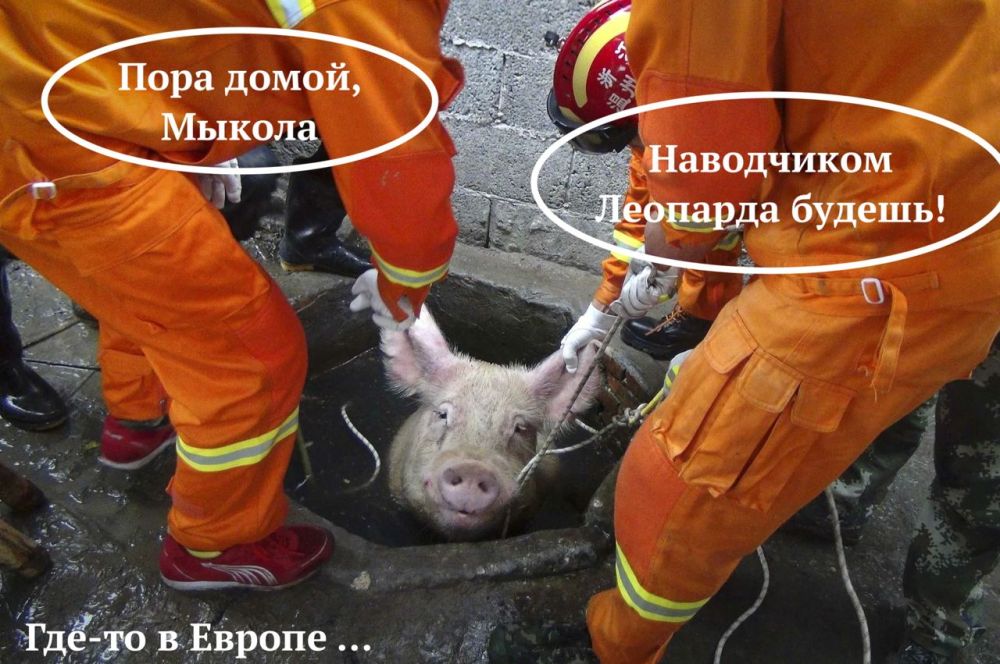 ��������� � ������ � ����������� �� ������� ����� �������� ������ �� �������� (�) ������� ������ ���������� ������ ������ ���� ������