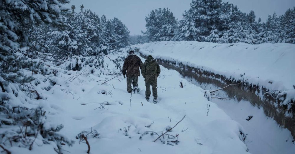 ��� ����������� �������: ��������� ��������� ������ ��� ����� �����