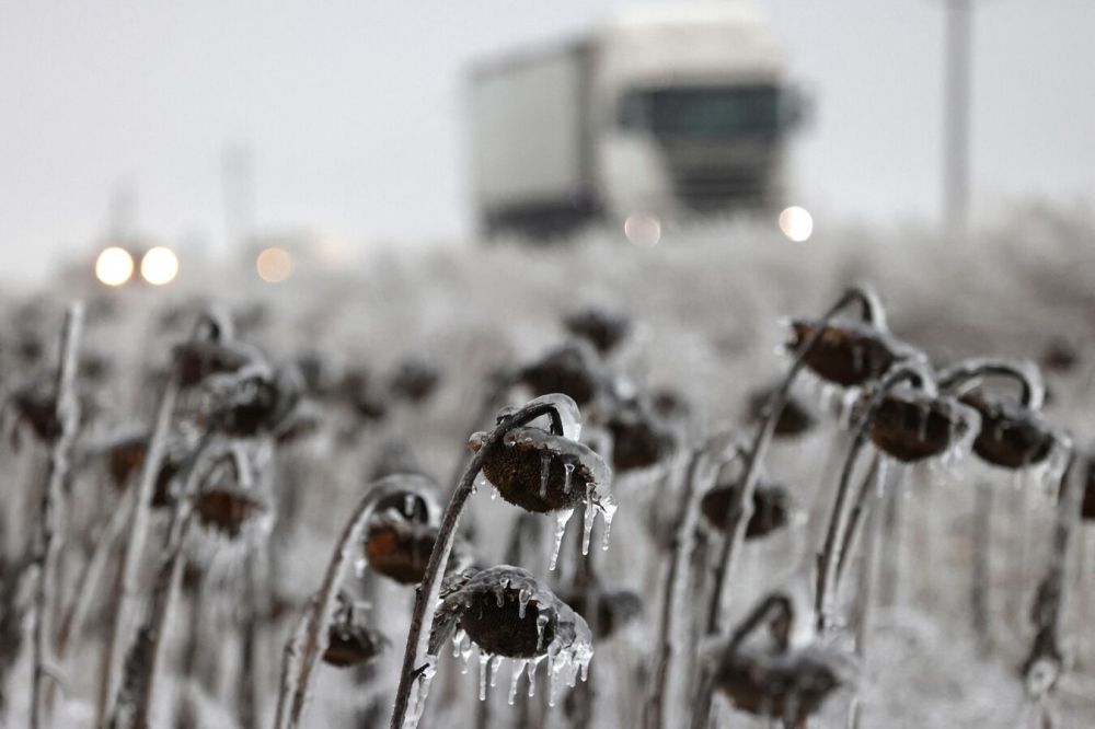 ������� �������� ���� ��������� �������������