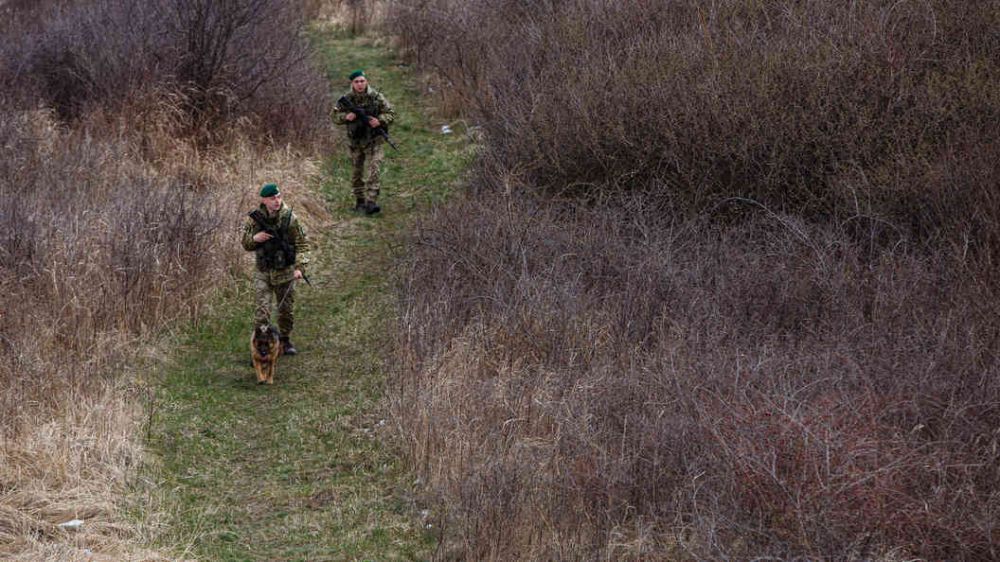Замгенсека НАТО дал собственный прогноз Украине: О вступлении нет речи