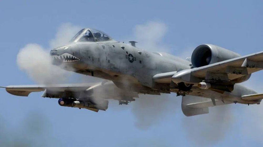 ������� ��� ���� "����������": ������� ������� ���� � �������