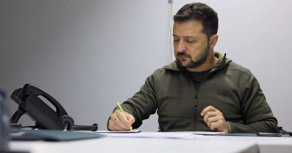 NYP ������� ������ ����������, �������� ������� ��������������