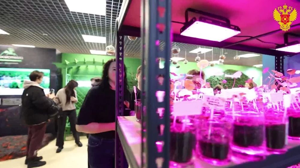 «Медицина — это наша жизнь, и ничего другого для нас не существует», — медицинская династия Обуховых из Нижнего Новгорода