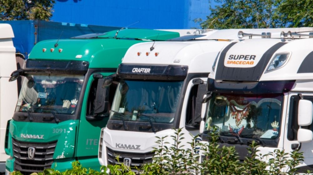 "��� ������": ��������� ������� ���������� ���������� ����� � ���������� ������� ������