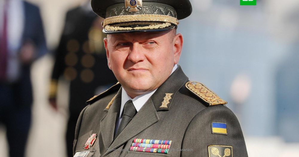 ����� ���������� ��������� �� �������� ���������