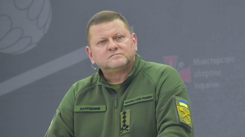 Слухи об отставке Залужного, продвижение ВС РФ, западная помощь. Главное на Украине на утро 30 января