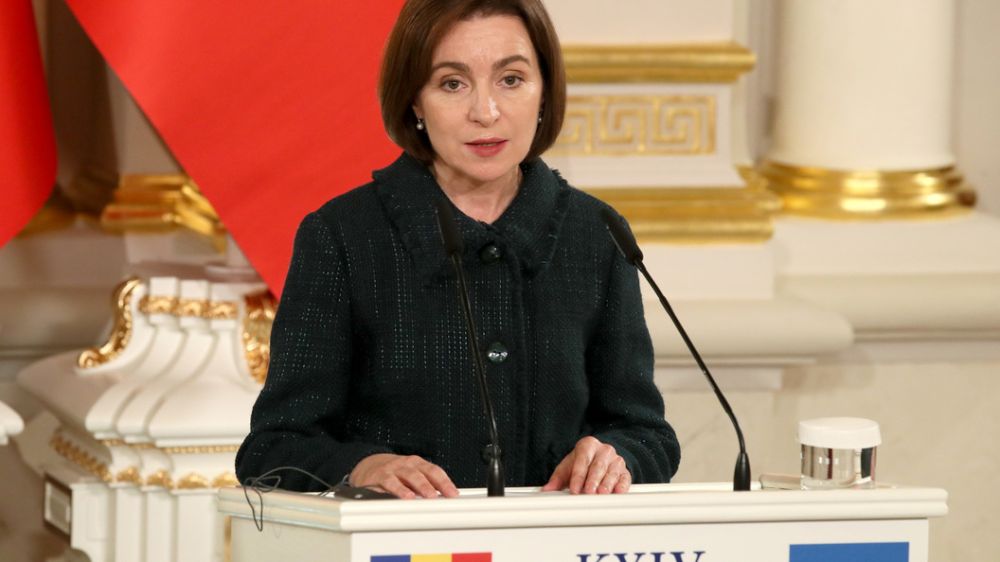 �������� ������� ������������ ����� ����������, � ����� ��������� ����������� �������� �����