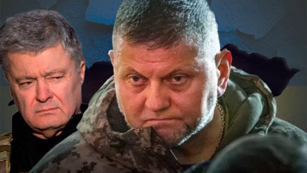 "� ��������� ����������?": ��� �� ����� ���� �������� ��������� � ��������