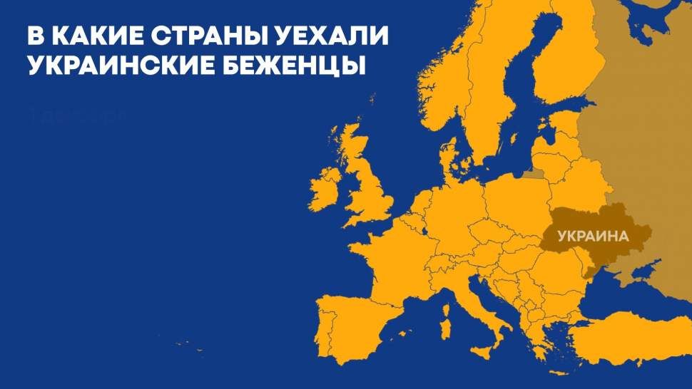 Елена Зеленская назвала неправильным принуждение украинцев вернуться