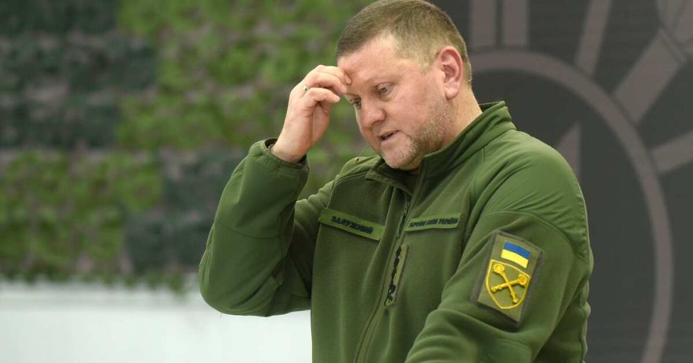 ���� ������� ������� ���������� ���������� ������� ���������