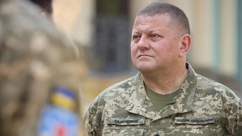 ������� ���� �������� ������� ������: �������� ����� ������ � ��������������