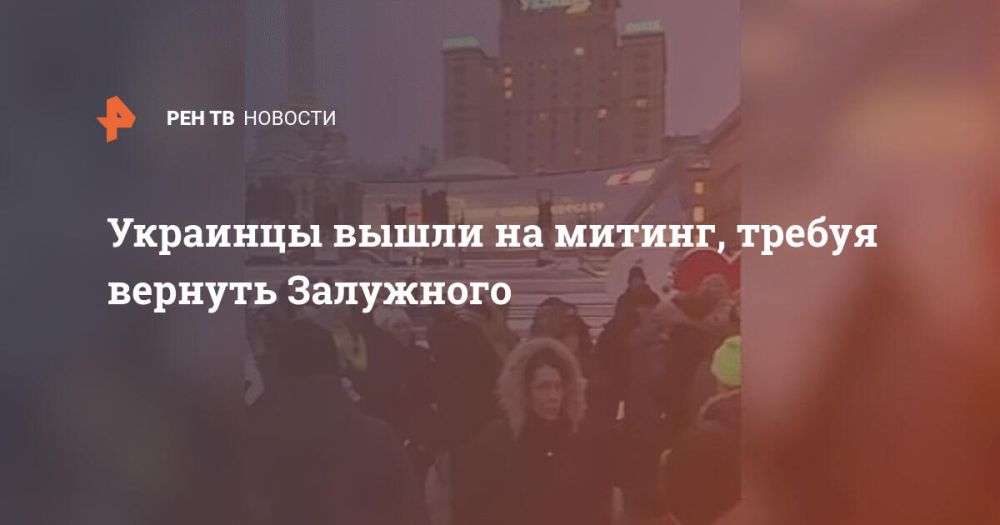 Украинцы вышли на митинг, требуя вернуть Залужного
