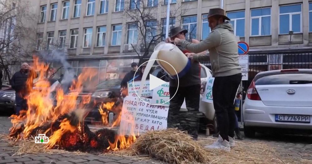 ������ ������� �������� �������� ������ �������