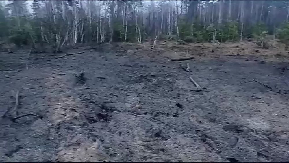 ������ ��������: ������� ��� ������ �� ����� ������