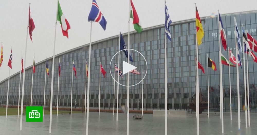 ��������� ���� ����� ������������: ���� �������� �������� ��������� � ���������