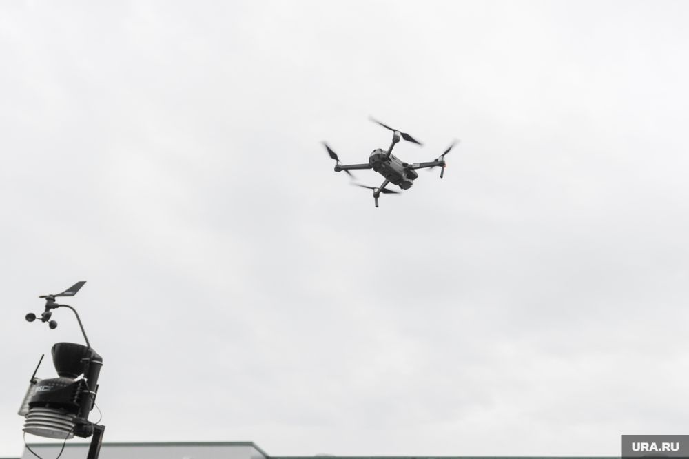 � ����� ���������� ���������� Starlink �� �������������� �� �����������