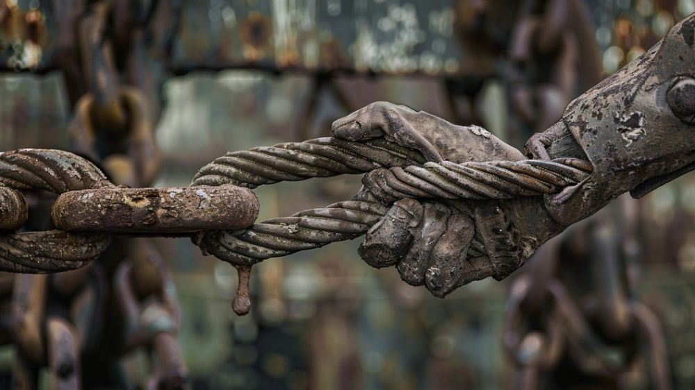 ������ ������ �� ���� �������: ������� "����" ������������� ������ "�����"