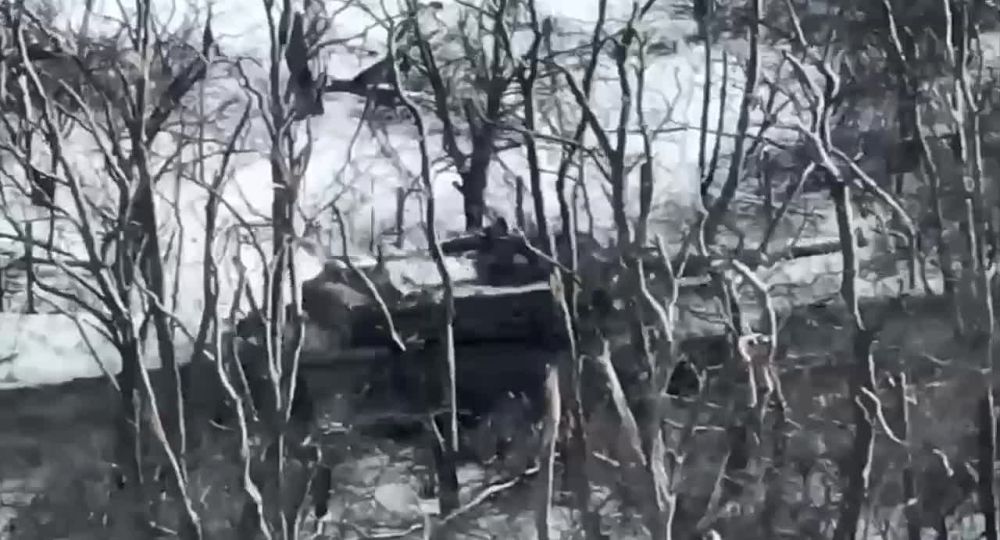 ������� ���������: ��������� ����������� ������ ����� ������� ���������� ������������� ����� ������� � ���� ���. �������� ����� ���������� ������ � ���� � ������ ��������