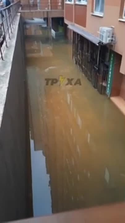 ������ ��������: ����� �� ������ ����������� ������ ������ � ������