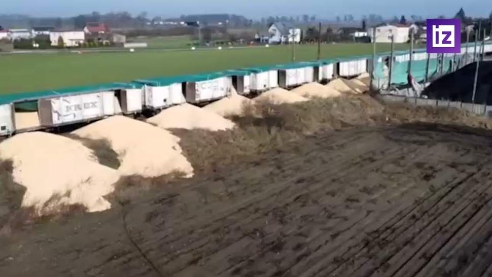 В Киеве потребовали наказать высыпавших 160 т украинского зерна в Польше