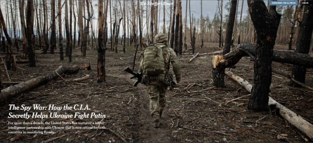 ���� ������: �������� ��� ����� ����� ������� � �����, ����� The New York Times