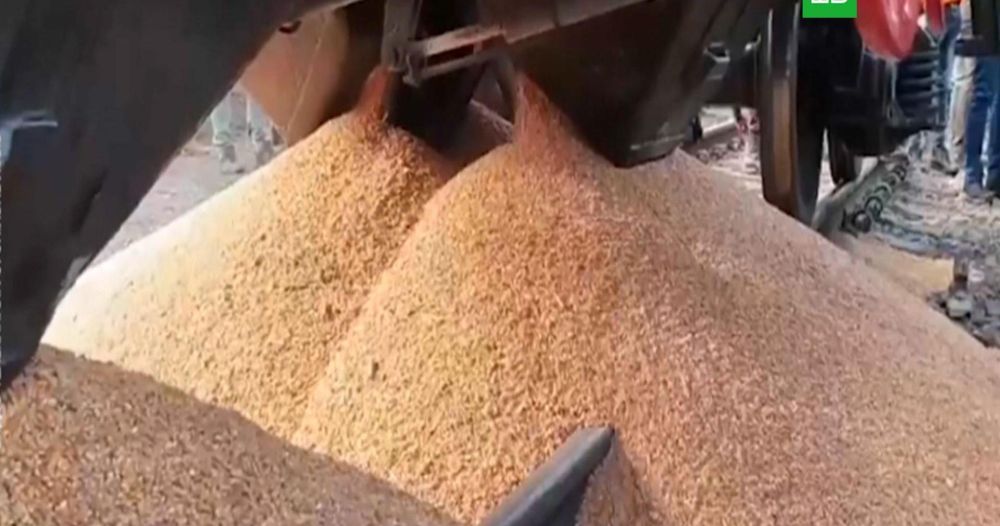 Еврокомиссар призвал Киев продавать свое зерно в третьих странах