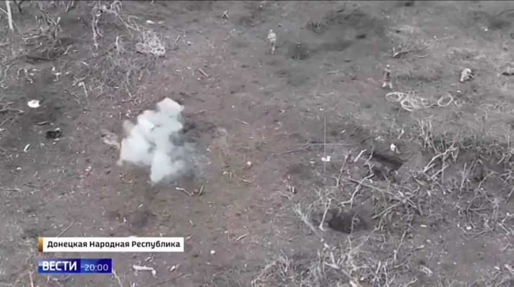 ������ ��������: ��� ��� ���� ��� "������������ ����������" �����������? ������������ ����� � ��������