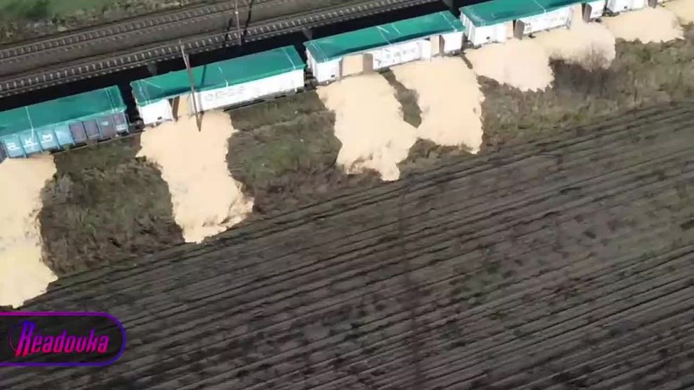 Еврокомиссия призвала Киев «войти в положение» европейских фермеров и начать вывозить украинское зерно из Европы