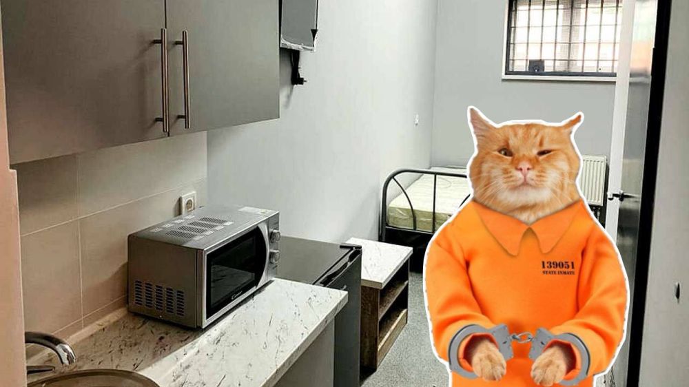 "��� ������� ������ ������ �������, � ������� ������� ����� �������� ������������ � ������� ������ �� VIP-������ � ��������� ����