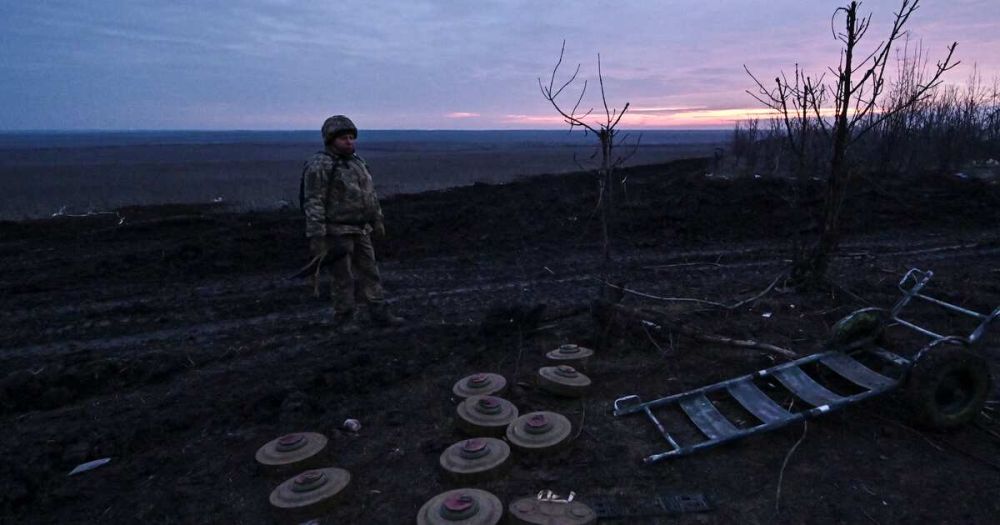 ����� ���: ��� �� ���������� ���������� �� ������� ����� �������