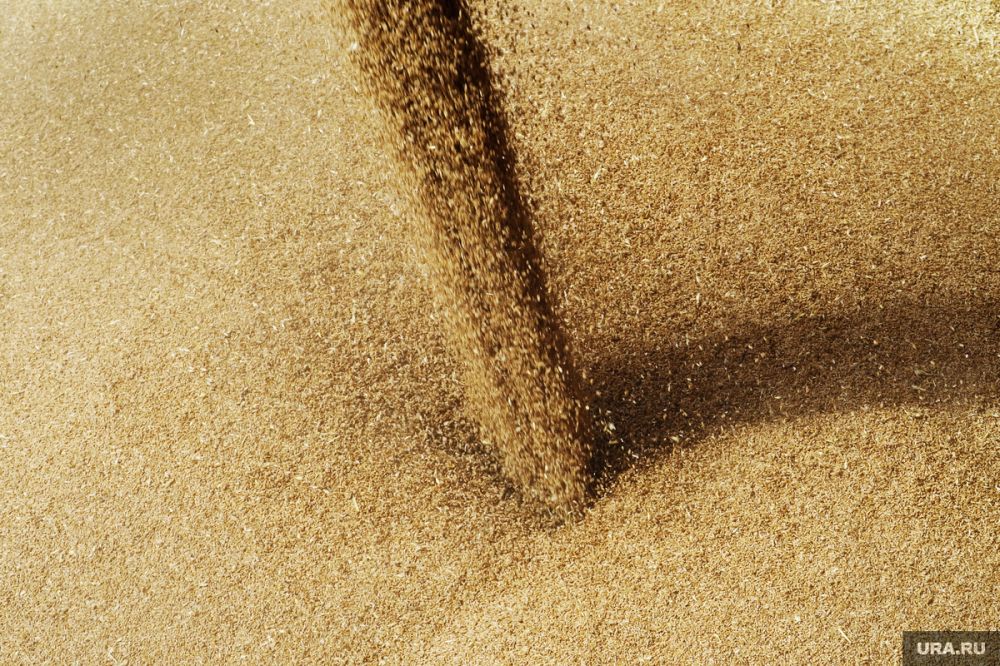 ������� ������ ��������� ���������� �������� ��������