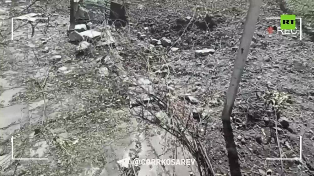 �������� ��������, ����������� �������� ���, ������������� �������� � �� � ������ ���������� ������